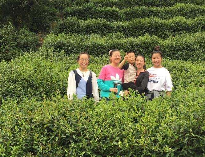 自動化檢測設備廠家軍嶂古道