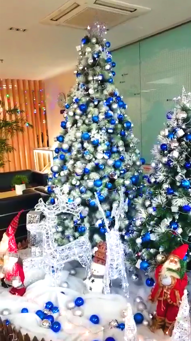 自動(dòng)化檢測(cè)設(shè)備廠家圣誕節(jié)圖片