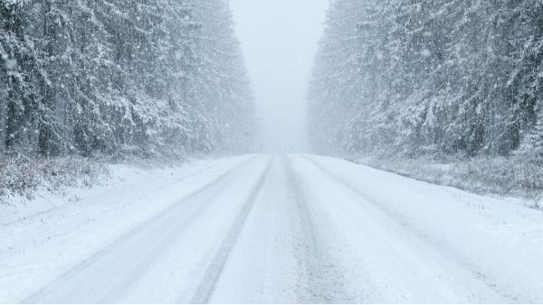 為國內中小企業抗風險能力提升而點贊